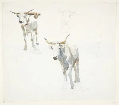 Italienske okser Popeji by Peter Hansen, 1904 — digital art print download