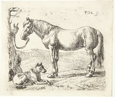 En hest og en hund by Питер ван Лаер — digital art print download