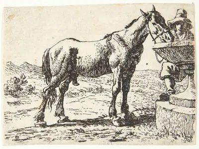 Hest ved en brønd by Питер ван Лаер — digital art print download