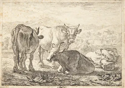 Tre stude, th en sovende bonde by Питер ван Лаер, 1638 — digital art print download