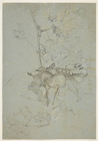 Plantestudie by Rachel Ruysch — digital art print download