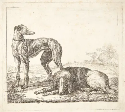 En mynde og en liggende hund by Simon de Vlieger — digital art print download