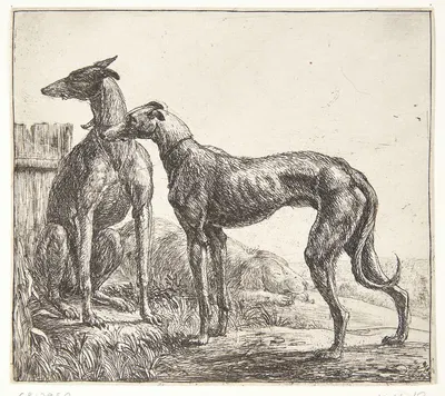 To mynder og en sovende hund by Simon de Vlieger — digital art print download