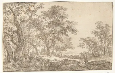 Vej i en skov by Simon de Vlieger — digital art print download