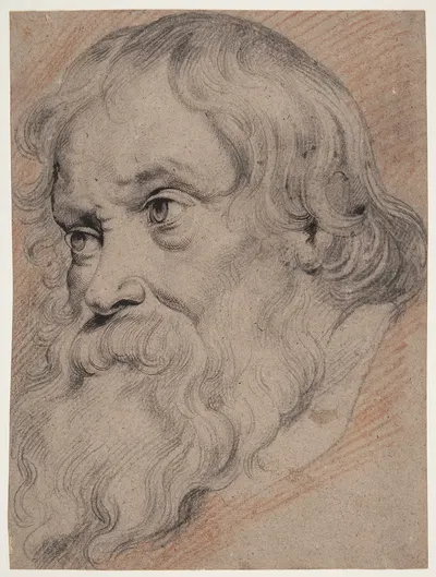 Hoved af en ældre, skægget mand, trekvart profil tv by Willem Panneels — digital art print download