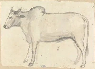 An Ox by Гангарама Чинтаман Тамбат — digital art print download