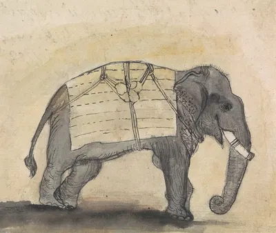 Elephant by Гангарама Чинтаман Тамбат — digital art print download