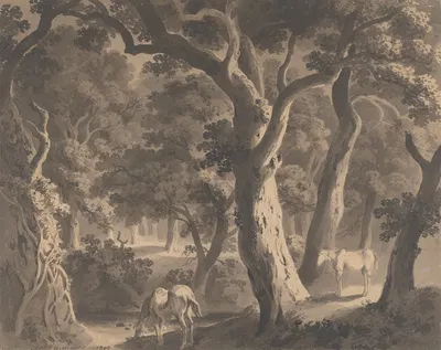 Wychwood Forest by Хью Уильям Уильямс, 1806 — digital art print download