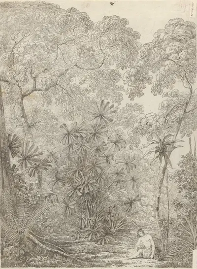 The Fan Palm of Cracatoa by Джон Уэббер, 1788 — digital art print download