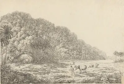 View in the Island of Pulo Condore by Джон Уэббер, 1792 — digital art print download