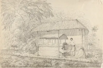 Waheiadooa, Chief of Oheitepha, Lying in State by John Webber, 1789 — digital art print download