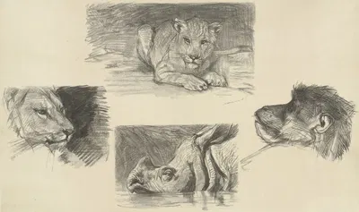 Vier dieren by Огюст Аллебе, 1848 - 1884 — digital art print download