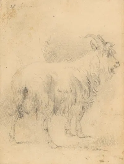 Kresba capa by Франтишек Белопотоцкий, 1850–1857 — digital art print download