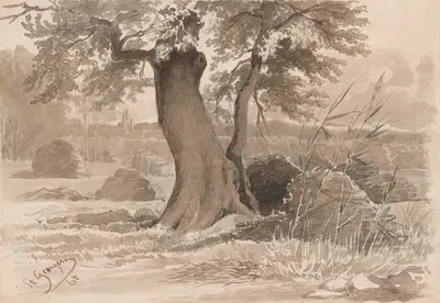 Landscape with a Spreading Tree in the Foreground by Фридрих Карл фон Шейдлин, 1865 — digital art print download