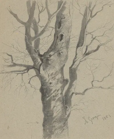 Study of a Knotted Tree Trunk by Friedrich Carl von Scheidlin — digital art print download