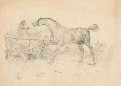Kone by Helene Büttner, 1910–1940 — digital art print download