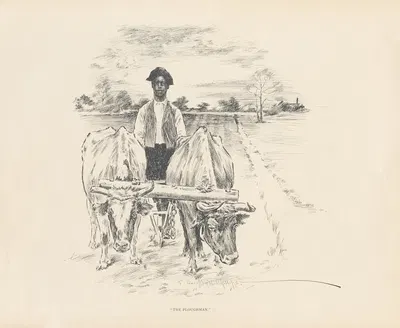 The ploughman by J. Campbell Phillips, 1899 — digital art print download