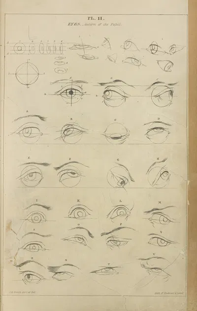 Eyes – action of the pupil by John Rubens Smith, 1831 — digital art print download