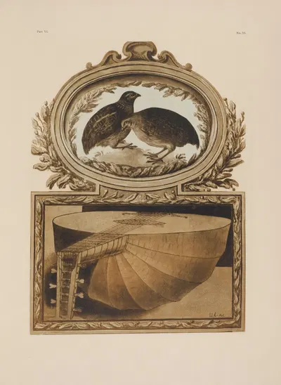A pair of quails; a lute by P. & D. Colnaghi, 1900 — digital art print download