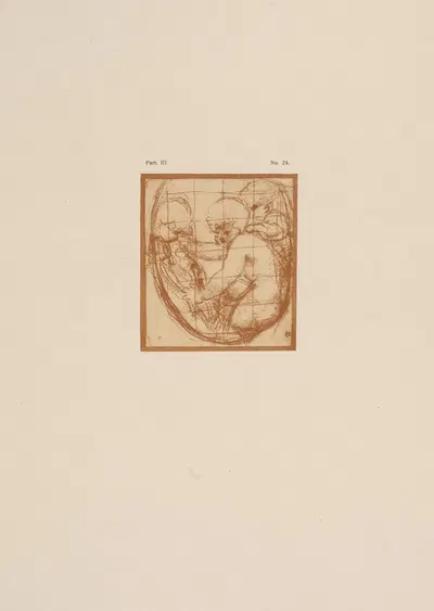 Correggio – Study of group of children by P. & D. Colnaghi, 1900 — digital art print download