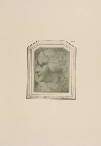 Drawing of female head in profile by P. & D. Colnaghi, 1900 — digital art print download