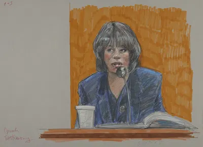 Defendant Oprah Winfrey testifying during a civil case brought against her by the Texas Beef Industry by Brigitte Woosley,…