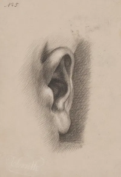 Ear study, no. 5 by Richard Sanger Smith, 1840 — digital art print download