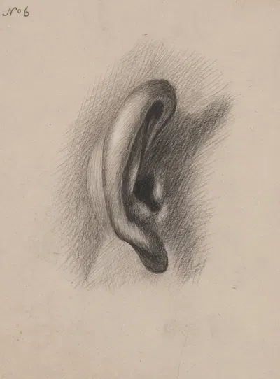 Ear study, no. 6 by Richard Sanger Smith, 1840 — digital art print download