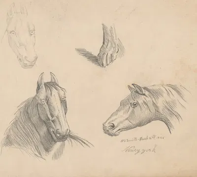 Pencil exercise, no. 1 – horse heads by Richard Sanger Smith, 1845 — digital art print download