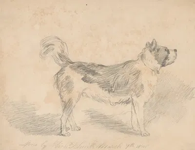 Pencil exercise, no. 3 – standing dog by Richard Sanger Smith, 1845 — digital art print download