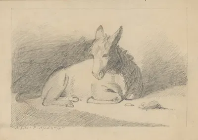 Pencil exercise, no. 5 – donkey by Richard Sanger Smith, 1842 — digital art print download