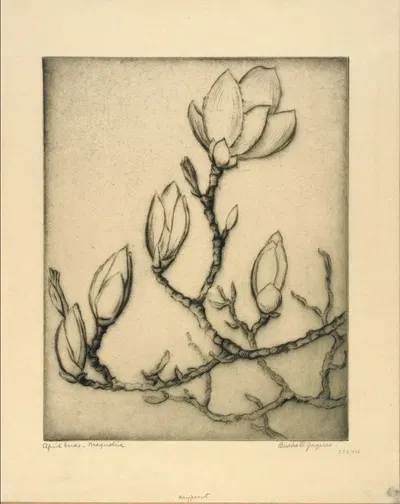 April Buds–Magnolia by Берта Жак — digital art print download