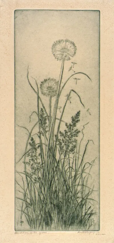 Dandelion in the Grass by Берта Жак — digital art print download