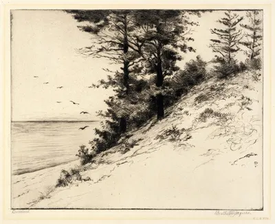 Duneland by Bertha Jaques — digital art print download