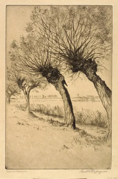 Pollard Willows, Rijsord, Holland by Bertha Jaques — digital art print download