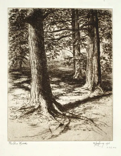 Pine Woods by С. Джек Янг, 1915 — digital art print download