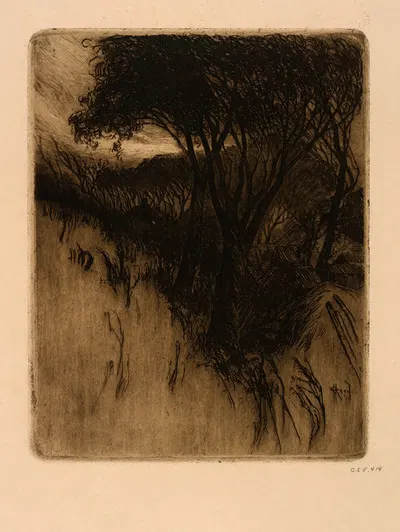 Сумерки by Эрл Хауэлл Рид, 1910 — digital art print download