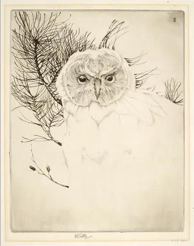 Nantucket Owl by Emerson Tuttle, 1923 — digital art print download