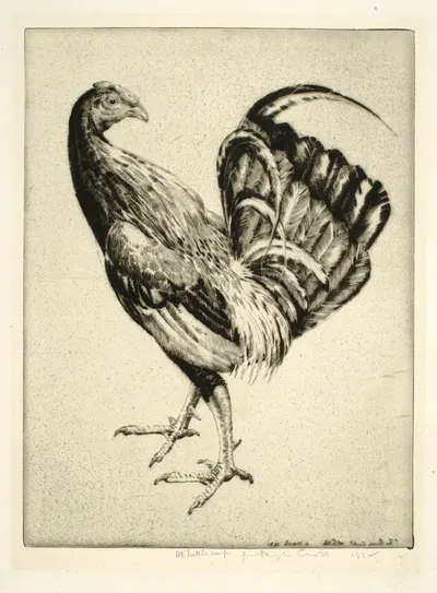 The Carney Cock by Emerson Tuttle, 1931 — digital art print download