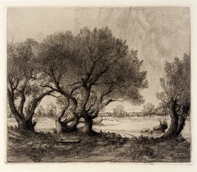 Old Willows by Frederick G. Hall — digital art print download