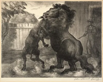 Stallion and Jack Fighting by Джон Стюарт Керри, 1943 — digital art print download