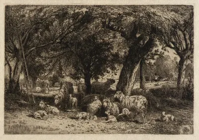 Sheep in an Orchard by Peter Moran, 1884 — digital art print download