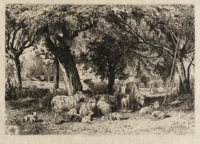 Sheep in an Orchard by Peter Moran, 1884 — digital art print download
