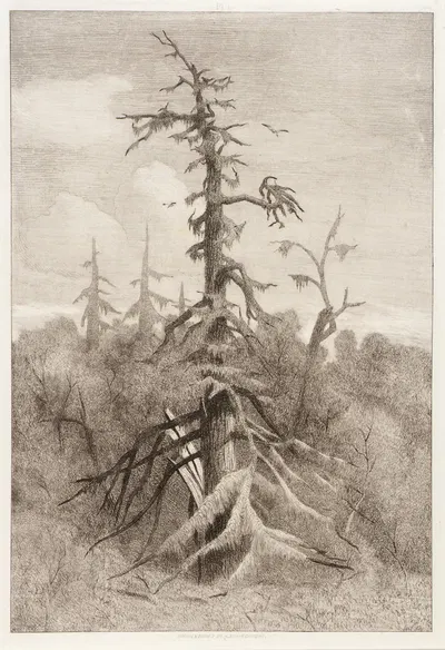 Naushon Swamp, Plate 1 by Роберт Суэйн Гиффорд, 1865 — digital art print download