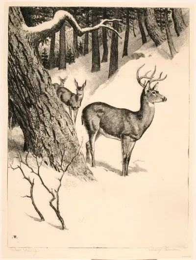 Deer Family by Rodney Thomson — digital art print download