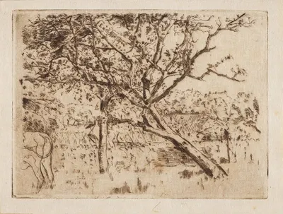 Boomgaard by Alfred William Finch, 1893 — digital art print download