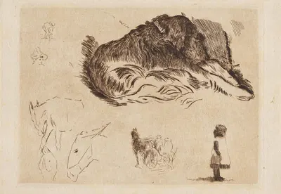 Slapende hond, paarden, kindje en andere kleine schetsen by Alfred William Finch, 1893 — digital art print download