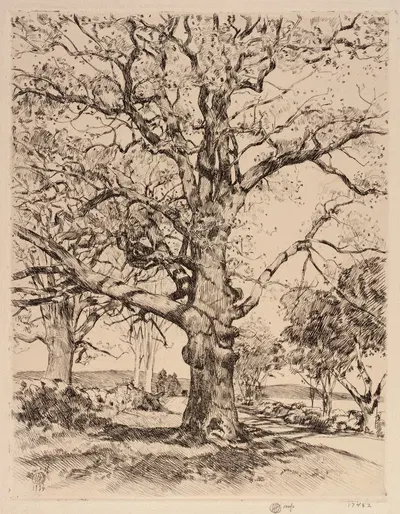 Wayside Inn Oaks in Spring by Чайлд Хассам, 1926 — digital art print download
