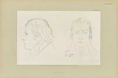 Handzeichnungen von Gottfried Schadow Pl.39 by Иоганн Готфрид Шадов, 1886 — digital art print download