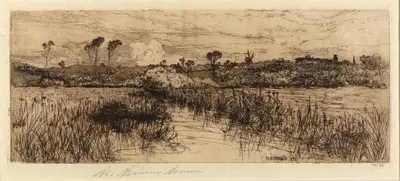 Дом ондатры by Мэри Ниммо Моран, 1884 — digital art print download